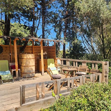 Coin Exotique Villa Casaeva Porto-Vecchio  Luaran gambar