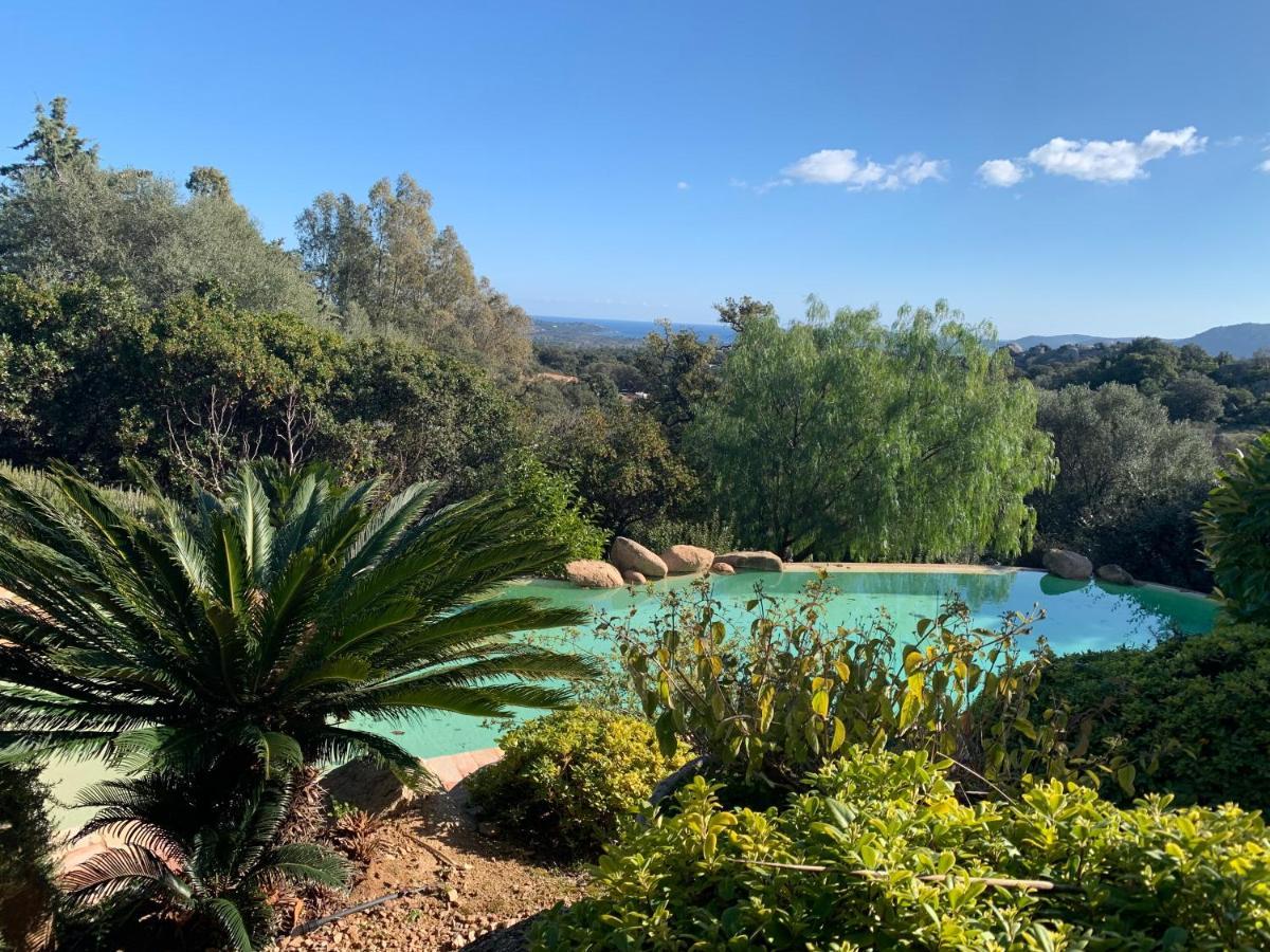 Coin Exotique Villa Casaeva Porto-Vecchio  Luaran gambar